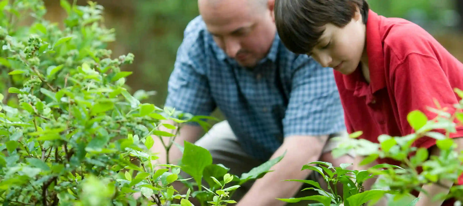 Dreieck der Nachhaltigkeit