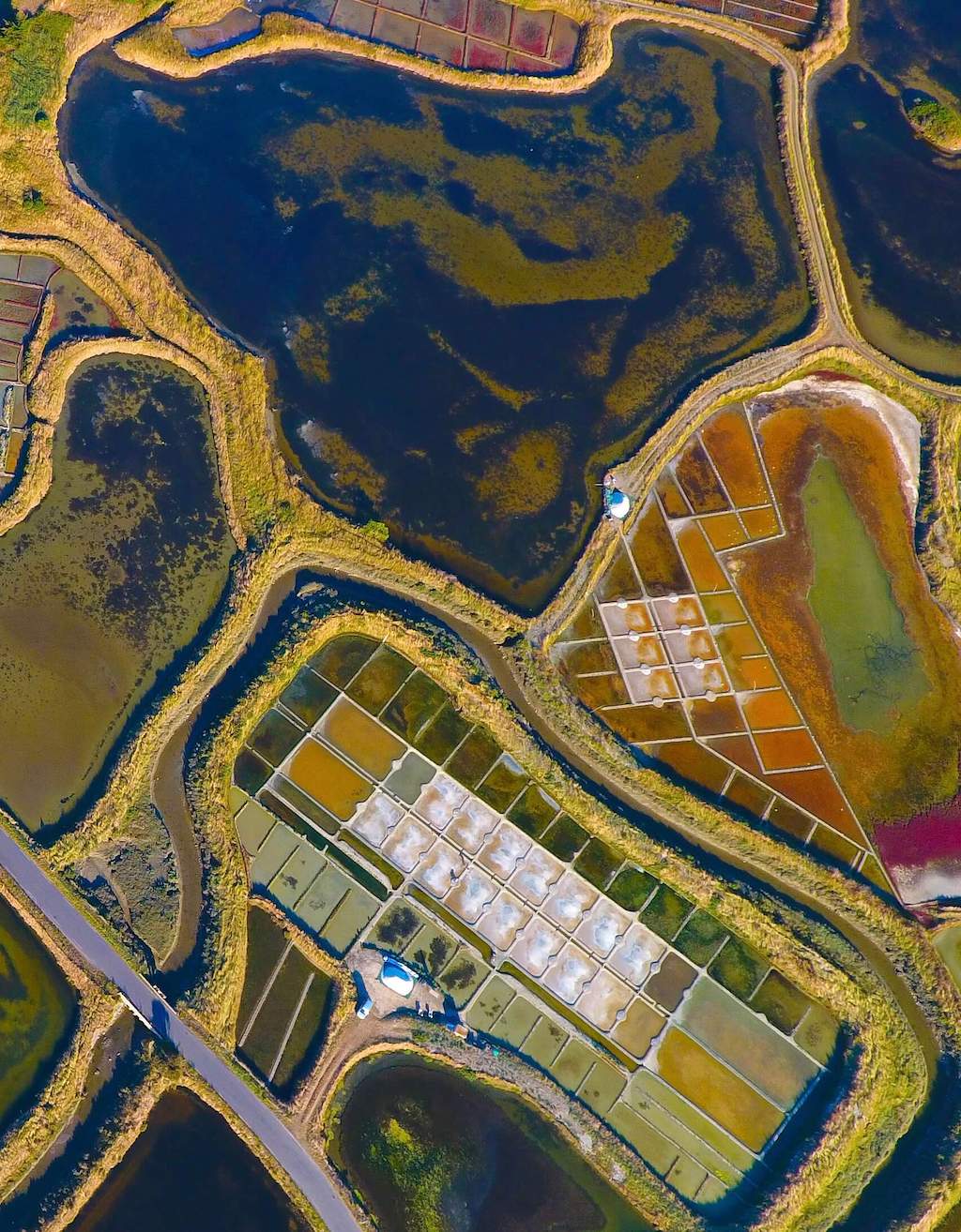 Fleur de Sel Luftaufnahme der Salzgärten der Guérande