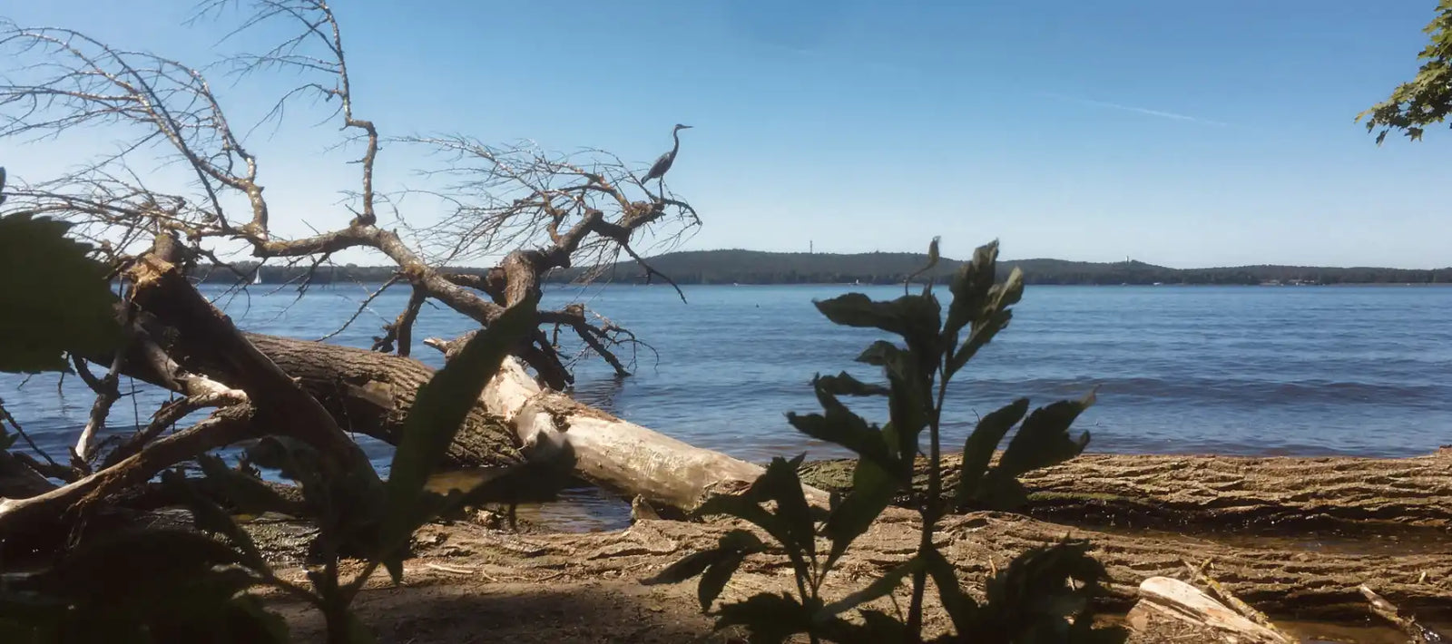 blue zone: Uferszene mit blauem Himmel und blauem Wasser