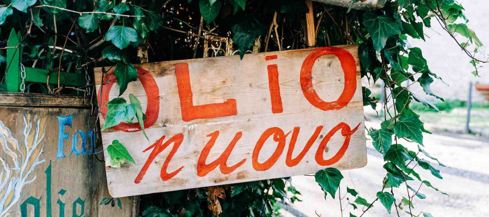 Wie schmeckt italienisches Olivenöl?