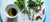 Olivenöl gesund, Olivenöl mit Gartenkräuter