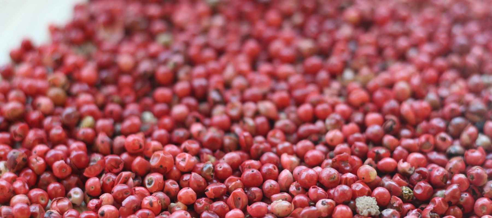 Rosa Pfeffer in einer Holzschale auf einem Leinentuch