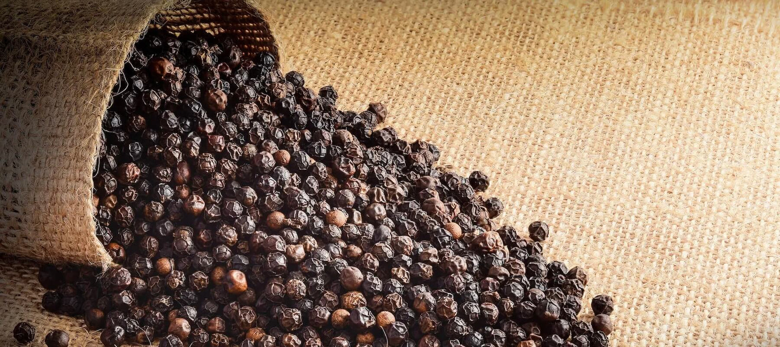 schwarzer Tellicherry-Pfeffer auf einem groben braunen Gewebe