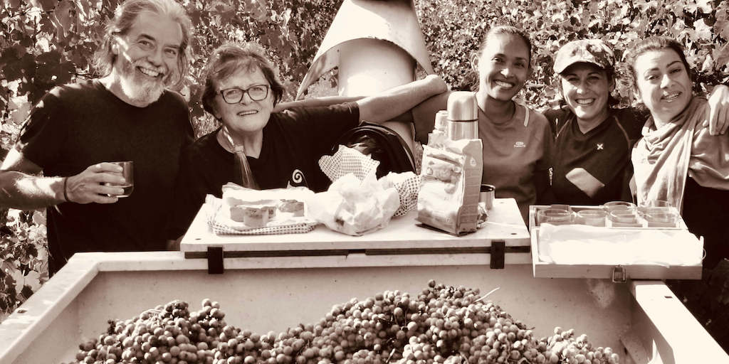 Balsamico Produzent Simone mit seiner Familie bei der Ernte der Trauben im Weingarten in der Mittagspause