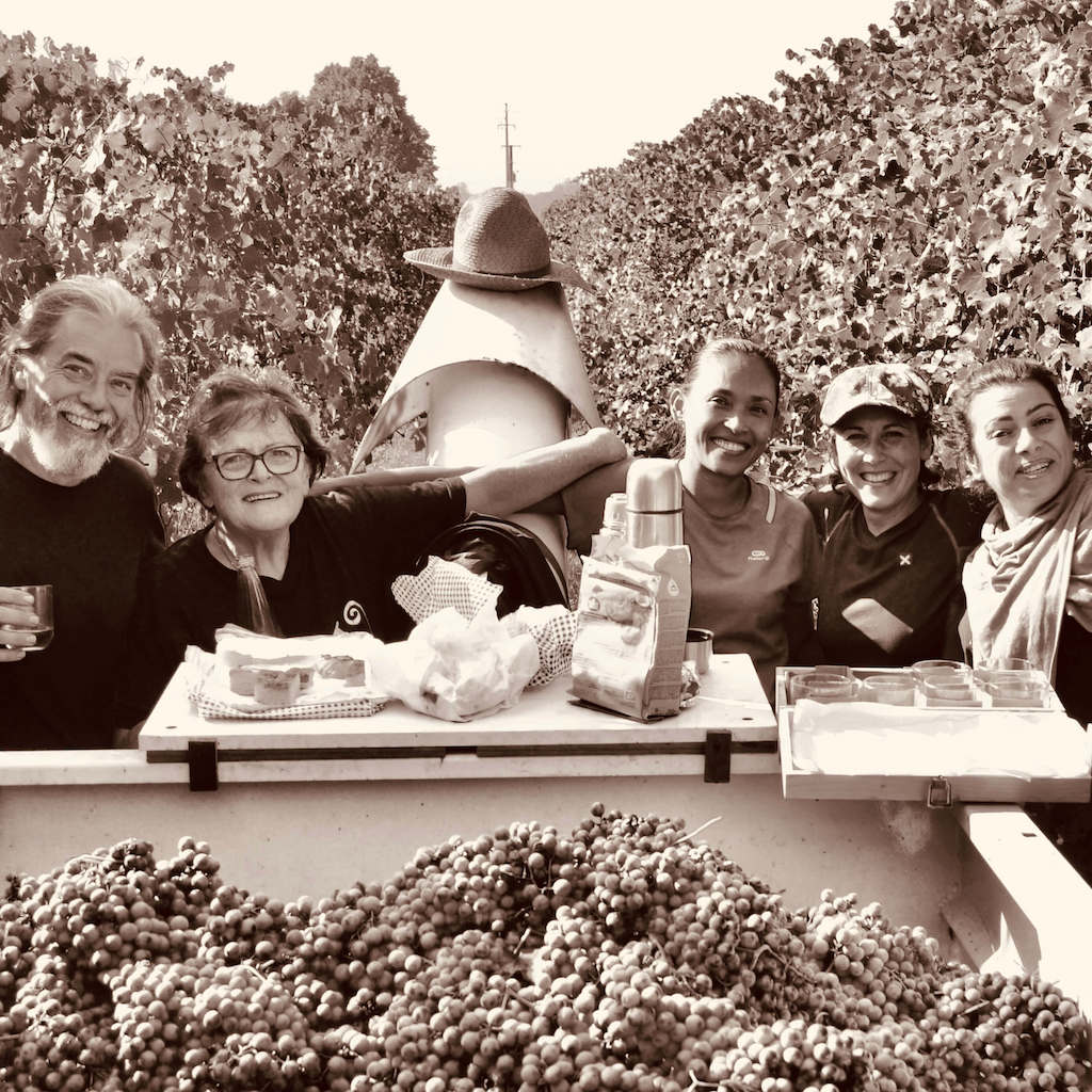 Balsamico-Produzent Simone mit seiner Familie bei der Ernte der Trauben im Weingarten in der Mittagspause