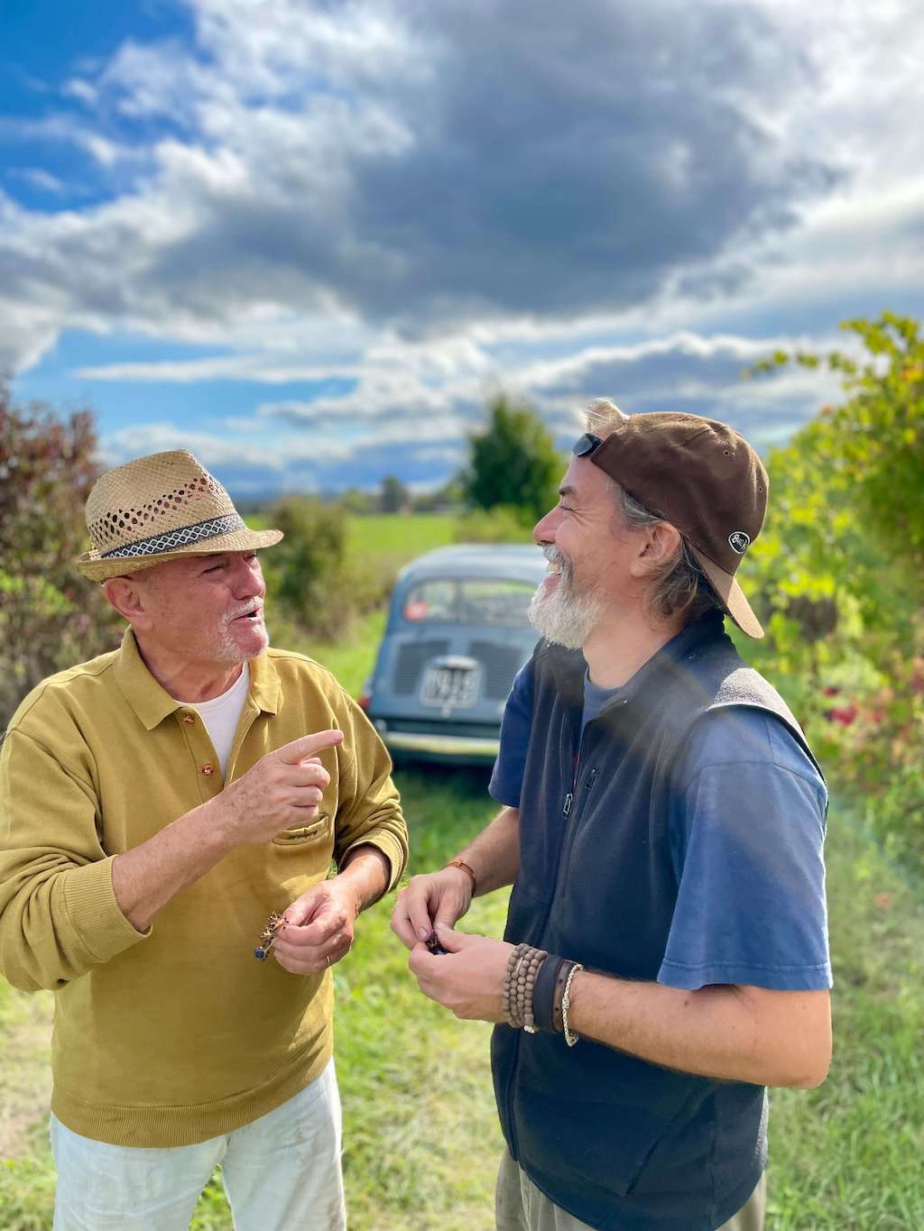 Bei der Weinlese - Bio-Essig kaufen direkt vom Erzeuger