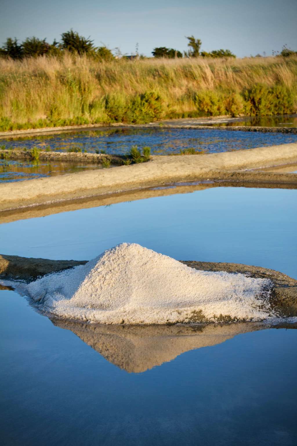 Grobes Meersalz im Abendlicht am Erntebecken
