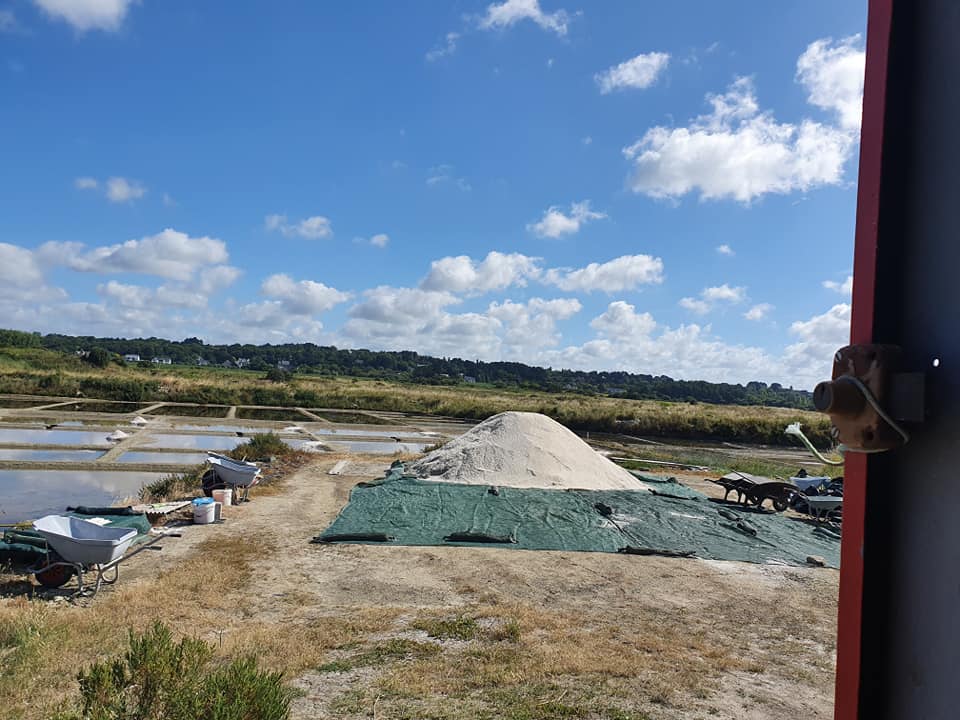 Fleur de Sel de Guérande Ernte 2020 Salz Delidia Berlin 